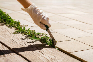 Removing Weed out of Terrace Paving stones in Garden. Maintenance and Care of Garden Pavement...