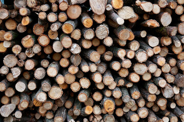 Close up view of logs are stacked together to form a tall pile of firewood for the winter, stacks of firewood, piles of firewood, firewood background 
Calm and tranquil, giving a warm and homely feel