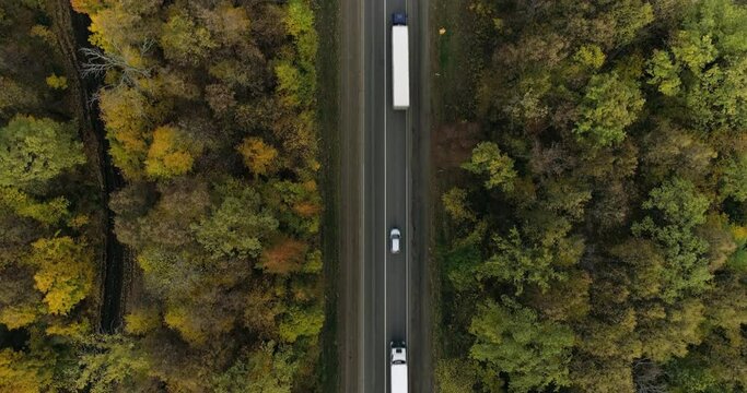 One Semi Truck with white trailer and cab driving, traveling alone on dense flat autumn yellow forest asphalt straight road, highway top down view follow vehicle aerial footage. Freeway trucks traffic