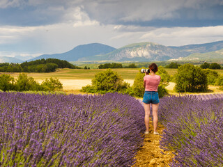 Woman take photo on lavender field, Provence France