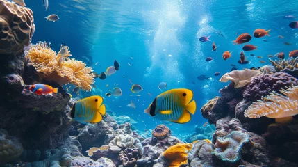 Tuinposter Tropical sea underwater fishes on coral reef © Banu