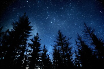 Night sky with stars and silhouettes of trees - obrazy, fototapety, plakaty