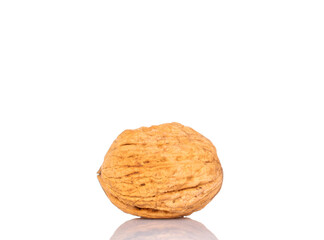 One walnut, macro, isolated on white background.
