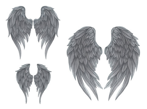 Watercolor grey Angel Wings set illustration. Hand painted wings with grey feathers for prints, banners