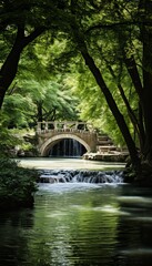 Fototapeta na wymiar Tranquil park landscape with beautiful cascading waterfall amidst abundant green foliage