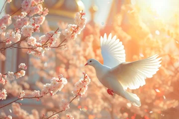 Fotobehang a white dove is flying in the sky in light sun rays © Наталья Добровольска