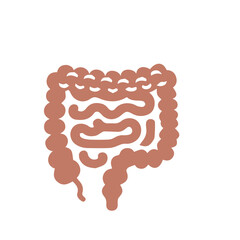 Human anatomy internal organ set with brain lung intestine heart kidney liver and stomatch