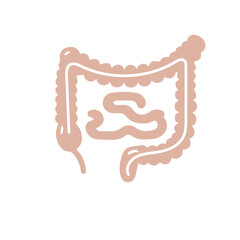 Human anatomy internal organ set with brain lung intestine heart kidney liver and stomatch
