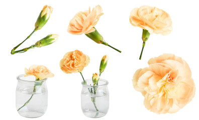 A set of yellow flowers in a mini vase and separately. On a blank background