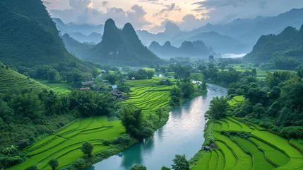 Foto op Plexiglas Rijstvelden Rice and rice field at Phong Nam village in Trung Khanh, Cao Bang, Vietnam. Landscape of area Trung Khanh, Cao Bang, Vietnam