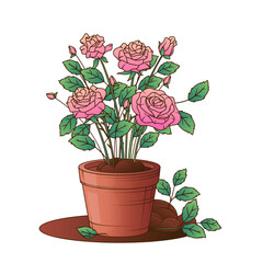 Vector illustration of roses in ceramic pot. Houseplant. Bouquets of roses. For Valentine's Day and wedding, decoration of floral shop, card design.
