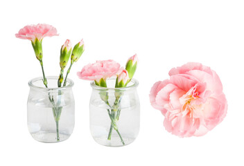 A set of pink flowers in a mini vase and separately. On a blank background