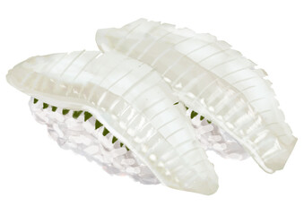 水彩の寿司_エンガワ01_3