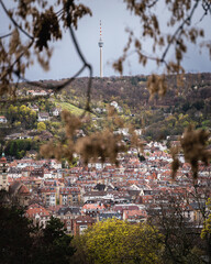 Blick von der Karlshöhe in Stuttgart
