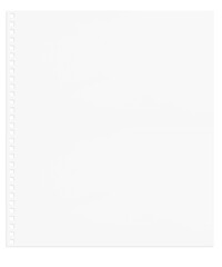 A white sheet torn from a notebook with small holes on the edge. On a blank background