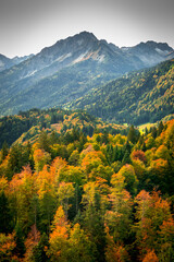 Goldener Oktober in den Allgäuer Alpen bei Oberstdorf.