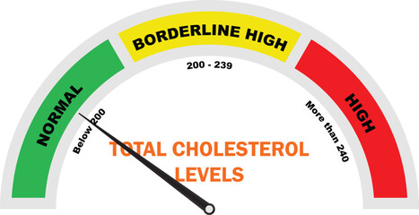Total Cholesterol Levels, Total Cholesterol, Cholesterol Level, Cholesterol Test, Cholesterol meter icon, Medical Diagnostic Tool