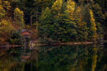 Goldener Oktober in den Allgäuer Alpen bei Oberstdorf.