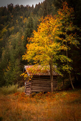 Goldener Oktober in den Allg&auml;uer Alpen bei Oberstdorf.