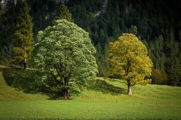 Goldener Oktober in den Allg&auml;uer Alpen bei Oberstdorf.