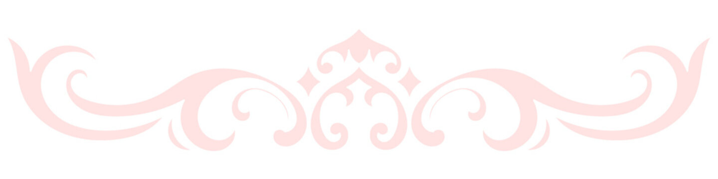 pink vintage lines decorative elements Border flower collection