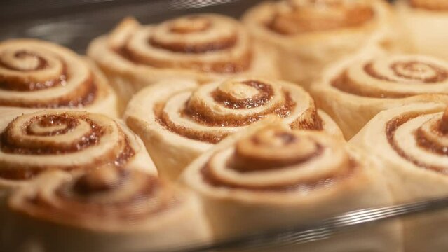 Timelapse of baking cinnamon rolls in the oven until golden brown. Making homemade Cinnabons. Baking raw pastry dough with sugar and cinnamon in the oven until fully cooked. Freshly baked buns.