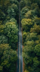 Fototapeta premium A road in green meadows at summer sunny day, Aerial view. Generative AI.