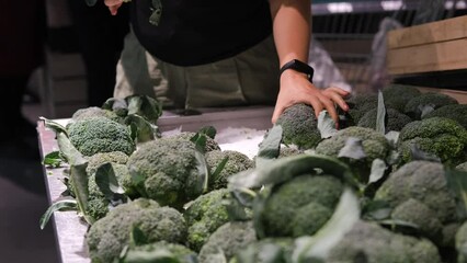 Close-up of young woman choosing fresh broccoli, taking it from shelf with ice in grocery store. Healthy organic vegetarian food 