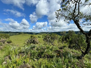 Obraz premium fazenda pecuária