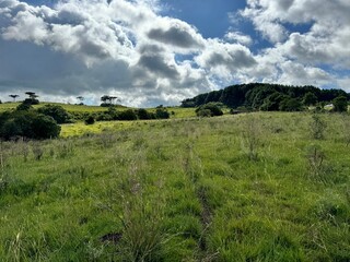 fazenda para pecuária na montanha