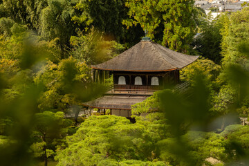 Fototapeta na wymiar Japanese temple 