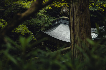 japanese temple roof - obrazy, fototapety, plakaty
