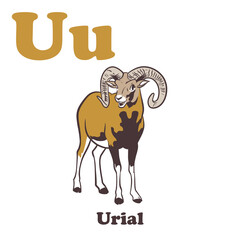 Urial Alphabet Cartoon Character For Kids