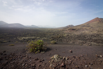 Champs de lave canarien