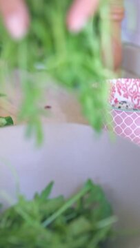 Close-up video shot of a salad being prepared. Woman's hand putting a curl in a vertical video.