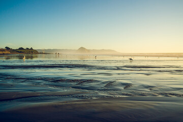 Beach at low tide at sunset, silhouette of birds on the beach, and Morro rock