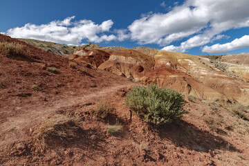 Altai landscapes
