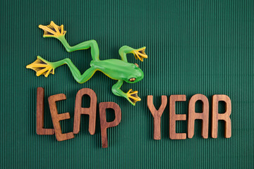 LEAP YEAR. Concept for date 29 month February