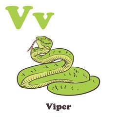 Naklejka premium Viper Alphabet Cartoon Character For Kids