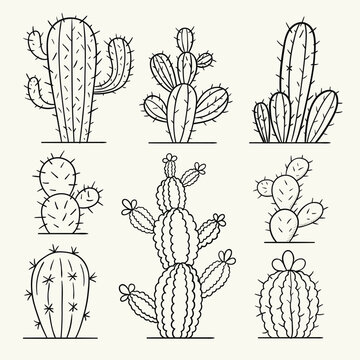 Cacti set. Hand drawn vector illustration