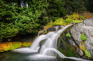 Mt Rainier National Park #15