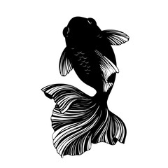 Asian traditional ornamental golden fish vector silhouette