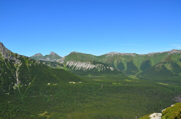 Obraz premium beautiful background of high Tatras, summer sunny weather
