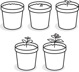 vector illustration of stages of a potted plant growing from seed to plant for infographic