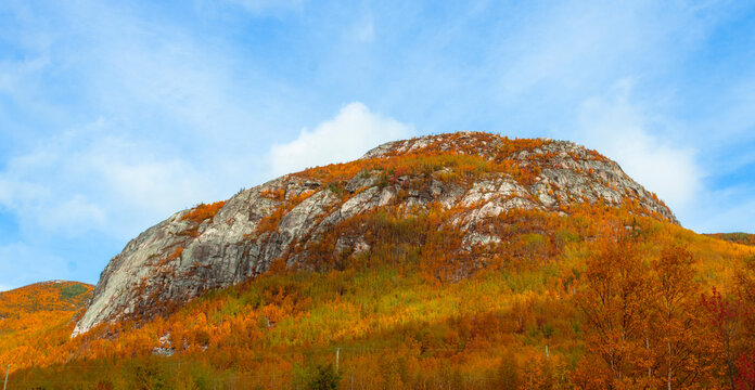 autumn landscape in the mountains