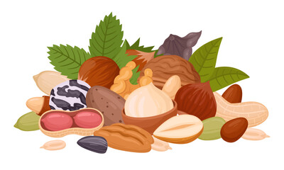 Seeds and nuts handful. Raw nuts bunch, almond, peanut, cashew and walnut mix, organic vegetarian nuts mix flat vector illustration on white