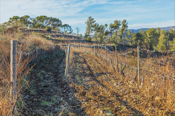 The tarraces and unique vineyard soils of the Priorat region