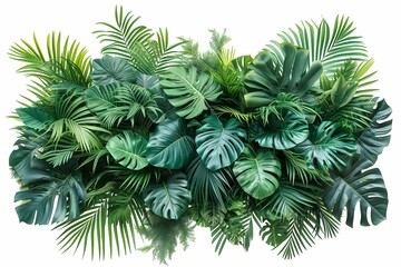 An intricate composition of lush tropical leaves in various shades of green on an isolated white background