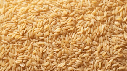 A dense, full frame of golden rice grains, rich in detail and color. Top view. Background. Texture. Concept of uncooked food, dietary staple, cereal grain, and agricultural product.