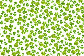 green clover leaves isolated on white background. St.Patrick 's Day